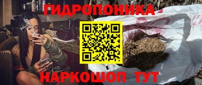 индика Ипатово